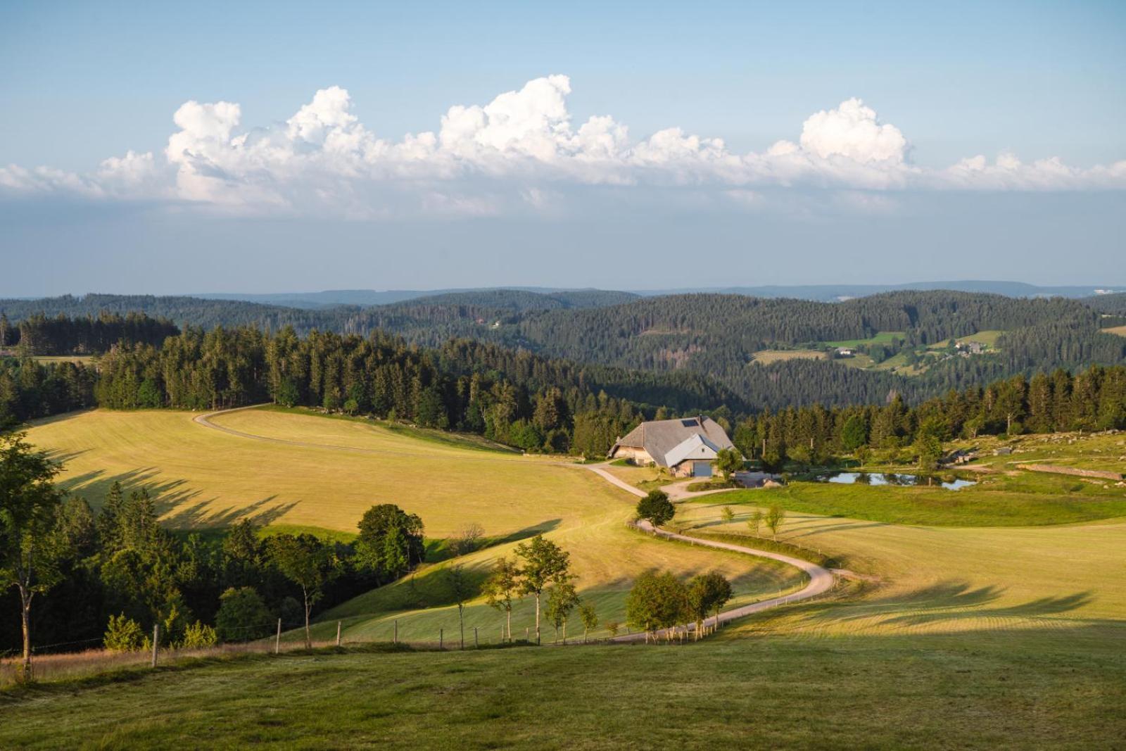 Landhaus Panoramablick Schonach im Schwarzwald Exterior photo